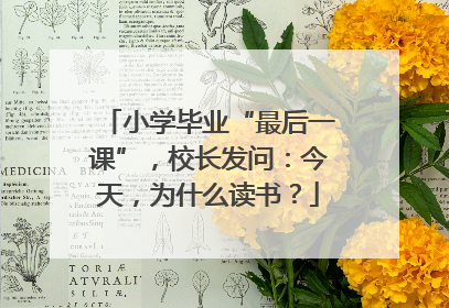 小学毕业“最后一课”，校长发问：今天，为什么读书？