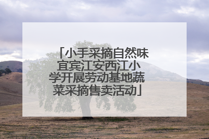 小手采摘自然味 宜宾江安西江小学开展劳动基地蔬菜采摘售卖活动