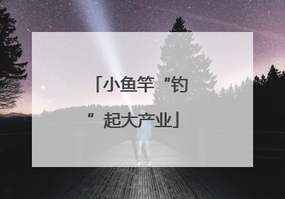 小鱼竿“钓”起大产业