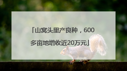 山窝头里产良种，600多亩地增收近20万元