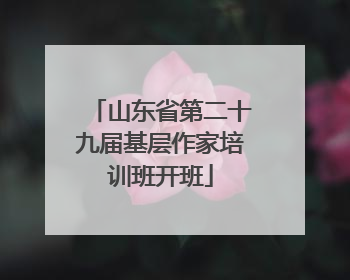 山东省第二十九届基层作家培训班开班