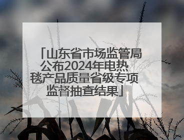 山东省市场监管局公布2024年电热毯产品质量省级专项监督抽查结果