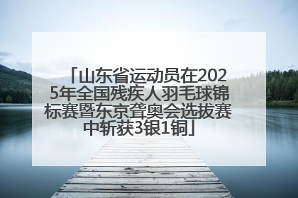 山东省运动员在2025年全国残疾人羽毛球锦标赛暨东京聋奥会选拔赛中斩获3银1铜