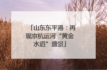 山东东平港：再现京杭运河“黄金水道”盛景