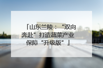 山东兰陵：“双向奔赴”打造蔬菜产业保障“升级版”