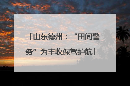 山东德州：“田间警务”为丰收保驾护航
