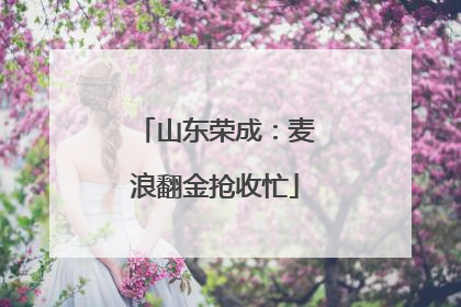 山东荣成：麦浪翻金抢收忙