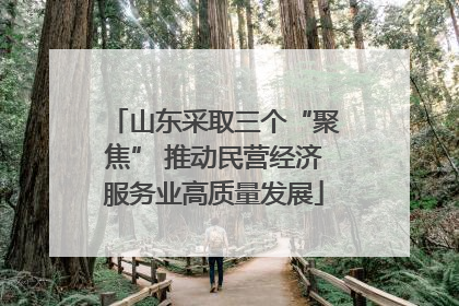 山东采取三个“聚焦” 推动民营经济服务业高质量发展
