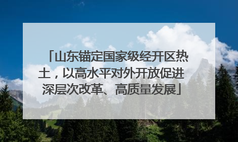 山东锚定国家级经开区热土，以高水平对外开放促进深层次改革、高质量发展
