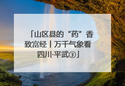 山区县的“药”香致富经丨万千气象看四川·平武③