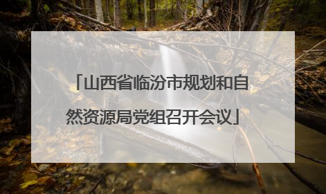 山西省临汾市规划和自然资源局党组召开会议