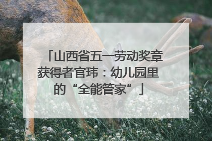 山西省五一劳动奖章获得者官玮：幼儿园里的“全能管家”