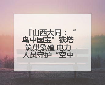 山西大同：“鸟中国宝”铁塔筑巢繁殖 电力人员守护“空中来客”