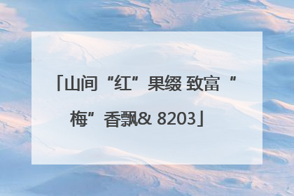 山间“红”果缀 致富“梅”香飘& 8203