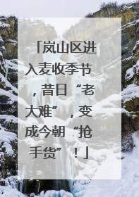 岚山区进入麦收季节，昔日“老大难”，变成今朝“抢手货”！