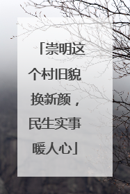 崇明这个村旧貌换新颜，民生实事暖人心