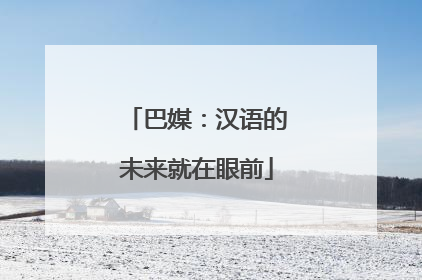 巴媒：汉语的未来就在眼前
