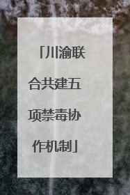 川渝联合共建五项禁毒协作机制