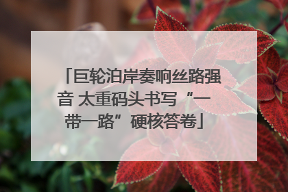 巨轮泊岸奏响丝路强音 太重码头书写“一带一路”硬核答卷
