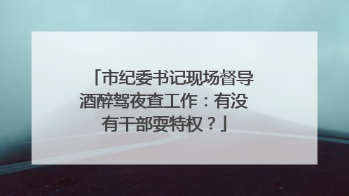 市纪委书记现场督导酒醉驾夜查工作：有没有干部耍特权？
