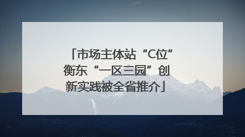 市场主体站“C位” 衡东“一区三园”创新实践被全省推介