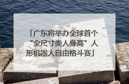 广东将举办全球首个“全尺寸类人身高”人形机器人自由格斗赛
