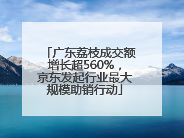 广东荔枝成交额增长超560%，京东发起行业最大规模助销行动