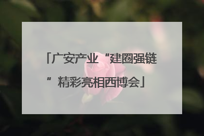 广安产业“建圈强链”精彩亮相西博会