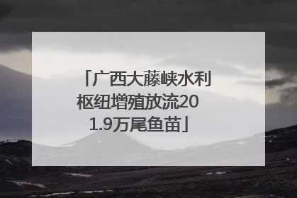 广西大藤峡水利枢纽增殖放流201.9万尾鱼苗