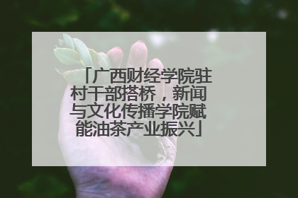 广西财经学院驻村干部搭桥，新闻与文化传播学院赋能油茶产业振兴