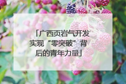 广西页岩气开发实现“零突破”背后的青年力量