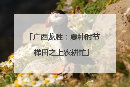 广西龙胜：夏种时节 梯田之上农耕忙