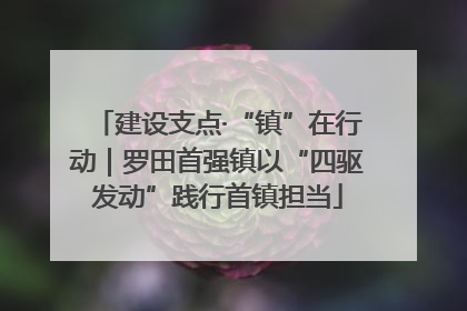 建设支点·“镇”在行动｜罗田首强镇以“四驱发动”践行首镇担当