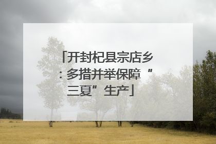 开封杞县宗店乡：多措并举保障“三夏”生产