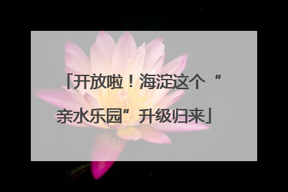 开放啦！海淀这个“亲水乐园”升级归来