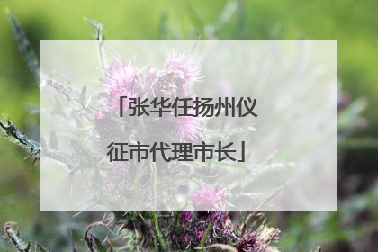 张华任扬州仪征市代理市长