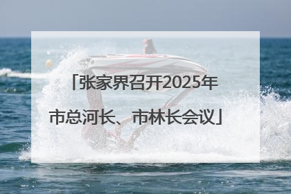张家界召开2025年市总河长、市林长会议