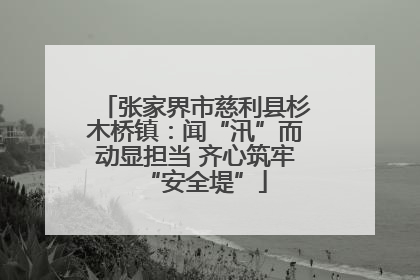 张家界市慈利县杉木桥镇：闻“汛”而动显担当 齐心筑牢“安全堤”