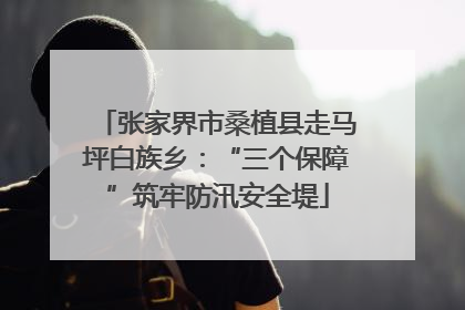 张家界市桑植县走马坪白族乡：“三个保障”筑牢防汛安全堤