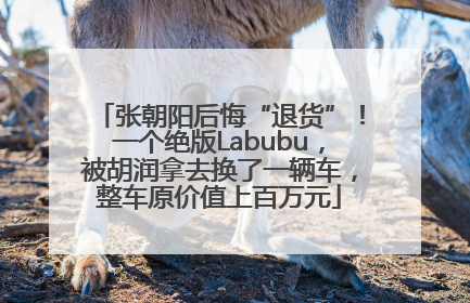 张朝阳后悔“退货”！一个绝版Labubu，被胡润拿去换了一辆车，整车原价值上百万元
