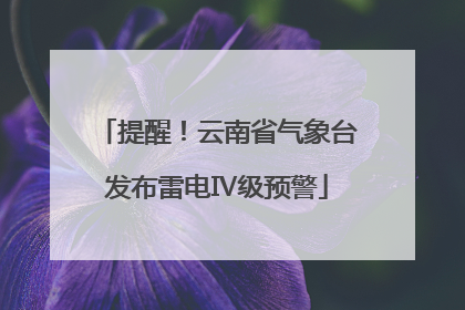 提醒！云南省气象台发布雷电Ⅳ级预警