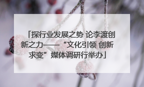 探行业发展之势 论李渡创新之力——“文化引领 创新求变”媒体调研行举办