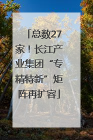 总数27家！长江产业集团“专精特新”矩阵再扩容