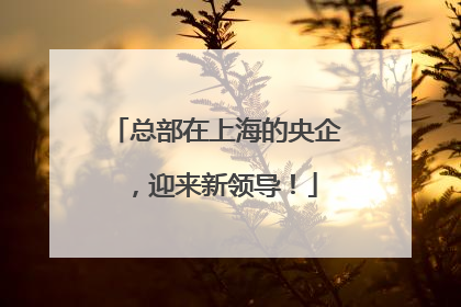 总部在上海的央企，迎来新领导！