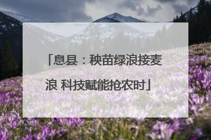 息县：秧苗绿浪接麦浪 科技赋能抢农时