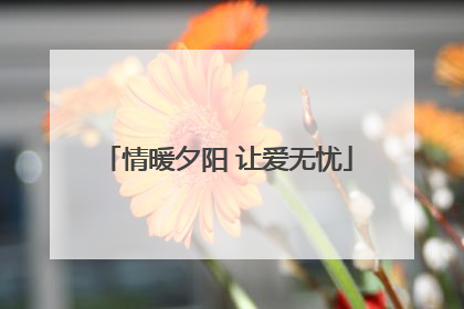 情暖夕阳 让爱无忧