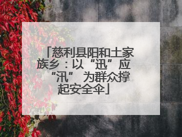 慈利县阳和土家族乡：以“迅”应“汛” 为群众撑起安全伞