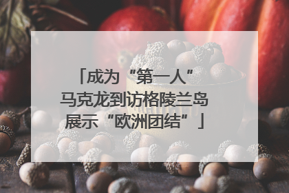 成为“第一人” 马克龙到访格陵兰岛展示“欧洲团结”