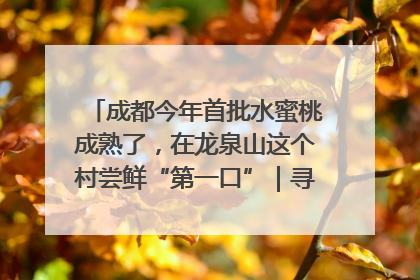 成都今年首批水蜜桃成熟了，在龙泉山这个村尝鲜“第一口”｜寻找和美乡村推荐官