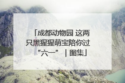 成都动物园 这两只黑猩猩萌宝陪你过“六一”｜图集